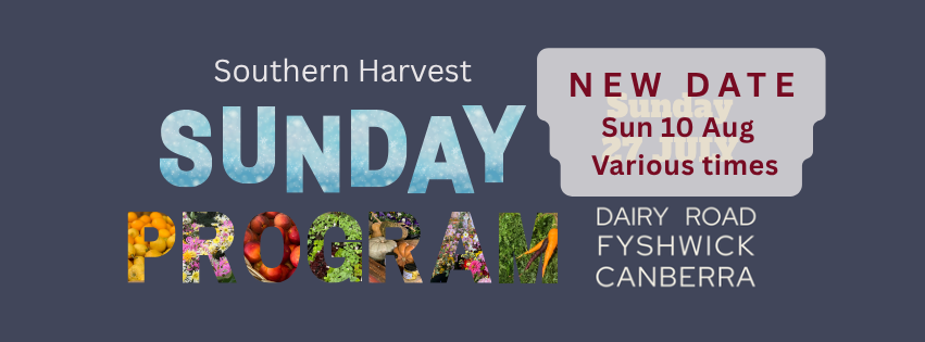 Sunday Program website banner (2)