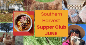 Supper Club_Branch&Burrow