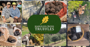 Harolds Cross Truffles_600 x 310 px (1920 x 1005 px)