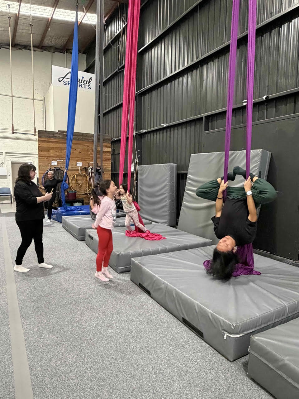 Monkey Business – Family Aerial Acrobartics Fun with Aerial Sports - Image 3